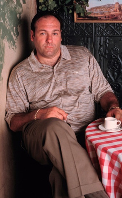 James Gandolfini, The Sopranos